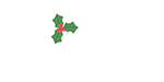 Logo Modula Formation pour Noël 2024